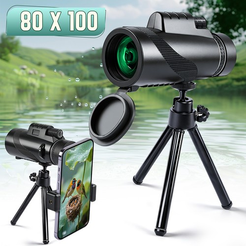 80x100 zoom day low - day/low, night